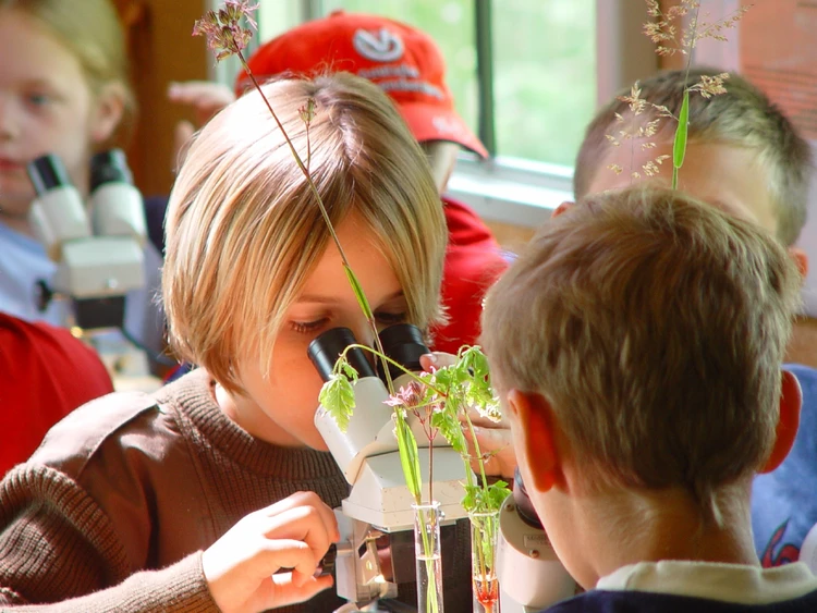 Auf dem Bild unterscuhen mehrere Kinder gemeinsam Pflanzenproben mit einem Mikroskop.